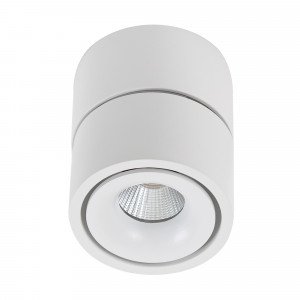 Richtbare opbouwspot Ole 1 wit led