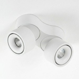 Richtbare opbouwspot Ole 2 wit led