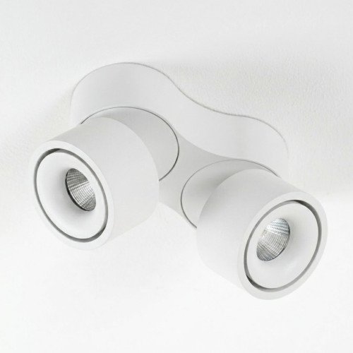 Richtbare opbouwspot Ole 2 wit led