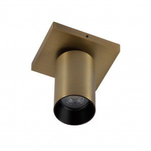 Richtbare opbouwspot Lynn 1 Oud Goud