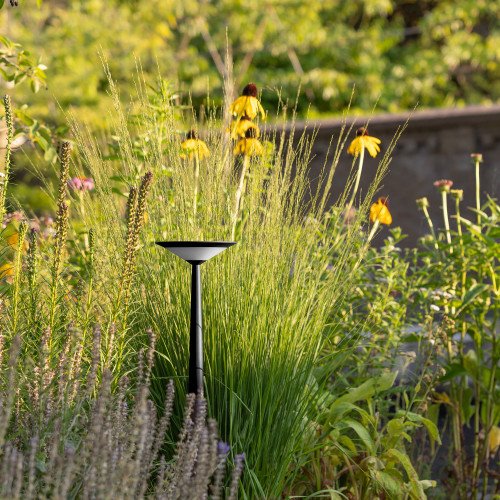 Buitenlamp Elin tuinlamp zwart aluminium modern