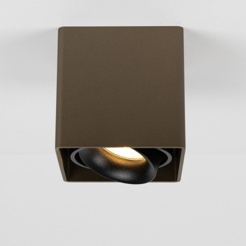 Binnenverlichting Bjorn opbouwspot brons modern