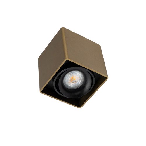 Binnenverlichting Bjorn opbouwspot brons modern