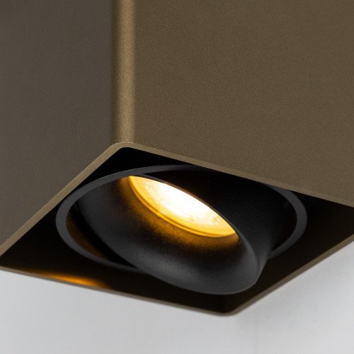 Binnenverlichting Bjorn opbouwspot brons modern