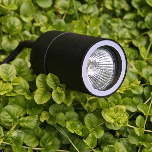 KS Verlichting - KS LED Pin - Tuinspot | Nostalux.be