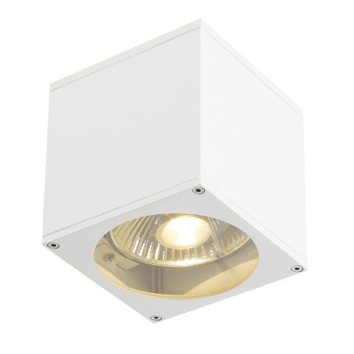 Buitenlamp Big Theo downlighter met vierkante vorm strakke afwerking en in witte kleur