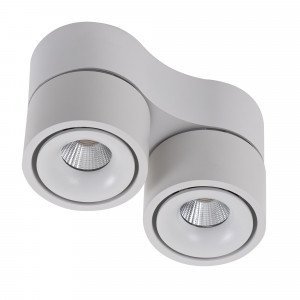 Richtbare opbouwspot Ole 2 wit led Richtbare opbouwspot Ole 2 wit led