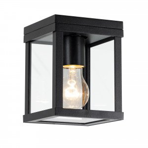 Buiten plafond lamp zwart frame met heldere glazen industrieel karakter stijlvol zwarte plafondverlichting KS plafondlamp Jersey Buiten plafond lamp zwart frame met heldere glazen industrieel karakter stijlvol zwarte plafondverlichting KS plafondlamp Jersey