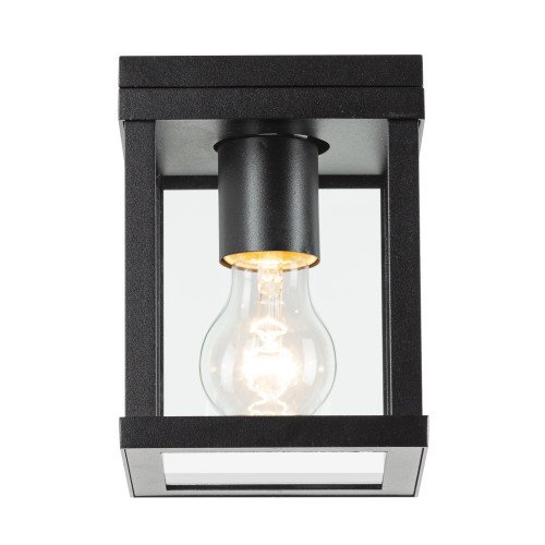 Buiten plafond lamp zwart frame met heldere glazen industrieel karakter stijlvol zwarte plafondverlichting KS plafondlamp Jersey